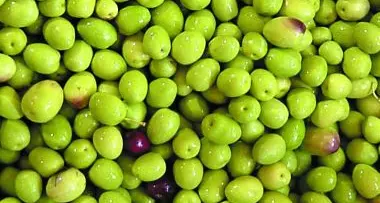 Allarme Asl: olive ripiene a rischio botulino
