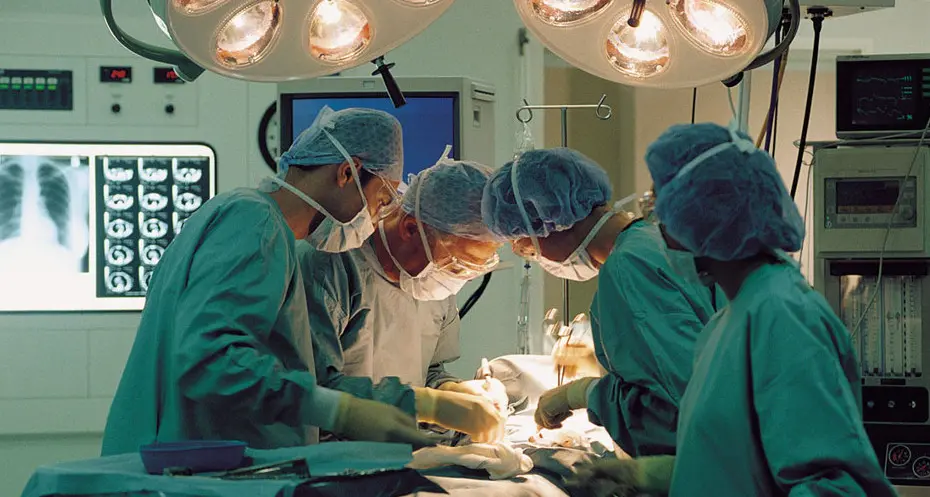 Donazione organi: 85 altoatesini in attesa