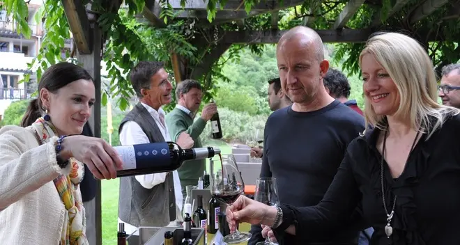 Vini “bio”, grande successo per l’evento