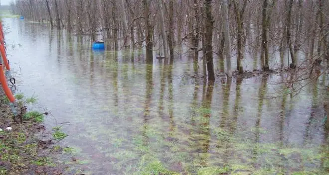 Bassa Atesina, campagne sott’acqua