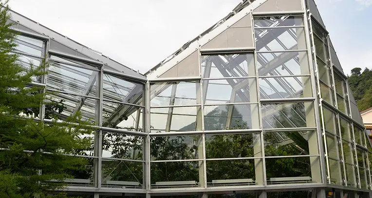 Ecco la serra delle piante tropicali