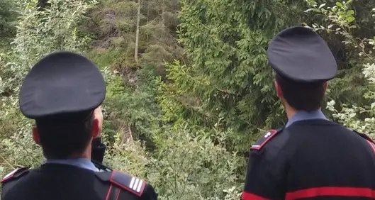 Va in cerca di funghi, scivola e muore