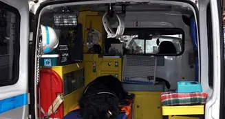 La Lav: serve il pronto soccorso veterinario
