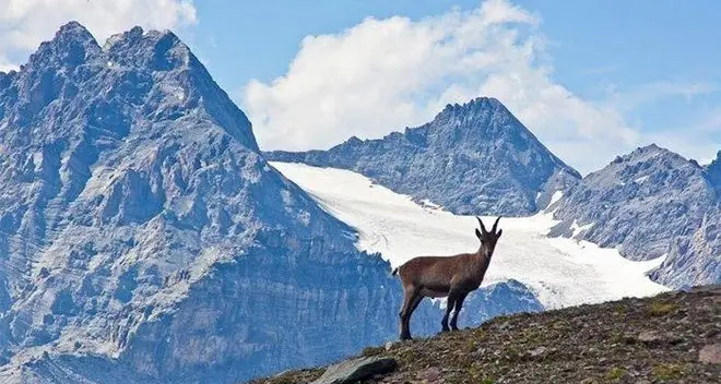 Commissione dei dodici: «Lo Stelvio non deve essere gestito per forza dallo Stato»