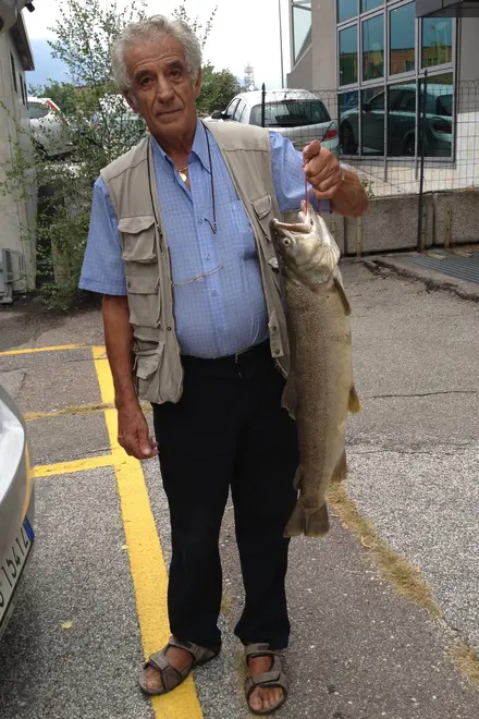 Pesca trota gigante nelle acque dell’Isarco