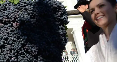 C’è la Festa dell’uva, musica d’ogni genere e stand gastronomici