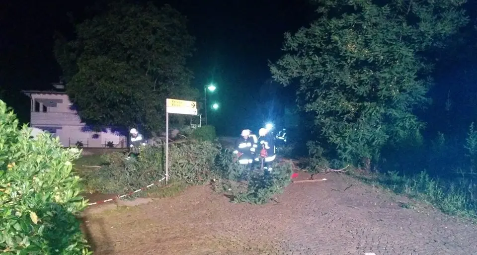 Vento forte nella notte, nel Meranese e a Bressanone volano rami e cadono alberi