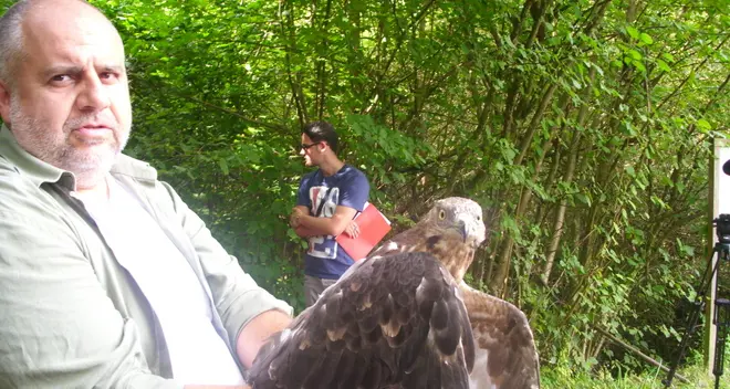 Il piccolo falco impara a volare grazie ai volontari