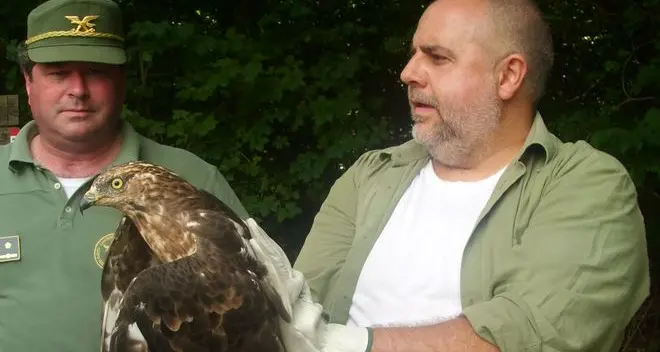 Il falco denutrito è tornato a volare a Monticolo