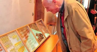 Bolzano: al Museo di scienze una collezione-record di 55 mila farfalle delle Alpi