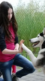 Sussurrare anziché sbraitare: non minacciate i vostri cani