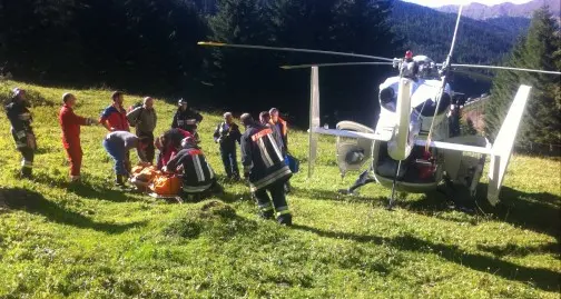 Operaio travolto da un albero