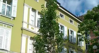 Piazza Walther, il Comune toglie le piante: «Vecchie e malate»