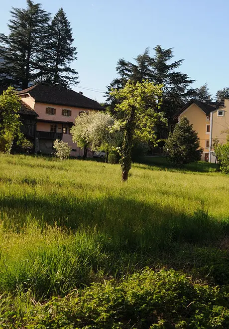 Maia Alta, via libera alla trentina di alloggi per il ceto medio