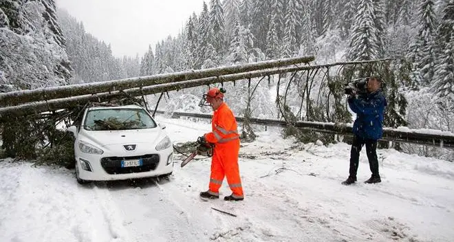 Nevicate di Natale, la Sel relaziona sui danni alle linee