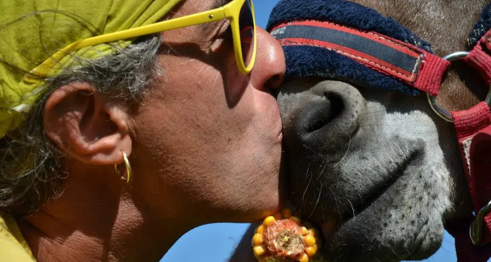 Festival del Camminare: gli appuntamenti sul Talvera
