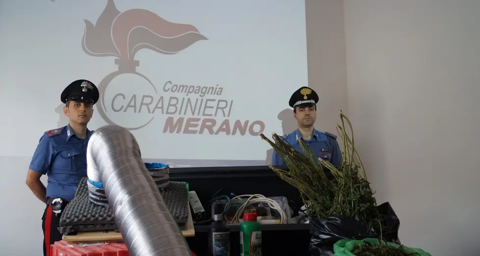 Cermes, coltivava e spacciava marijuana: arrestato 23enne