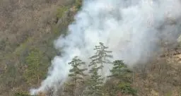 Bolzano, scaldano la droga con il fuocoe incendiano un bosco