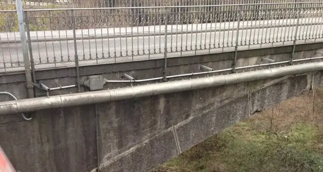 Vandali in azione: bidone del verde giù dal ponte