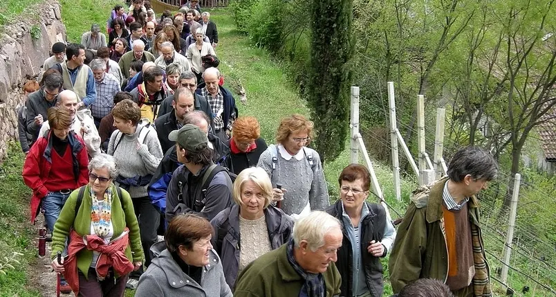 Pro Benko e anti Benko I comitati si fronteggiano