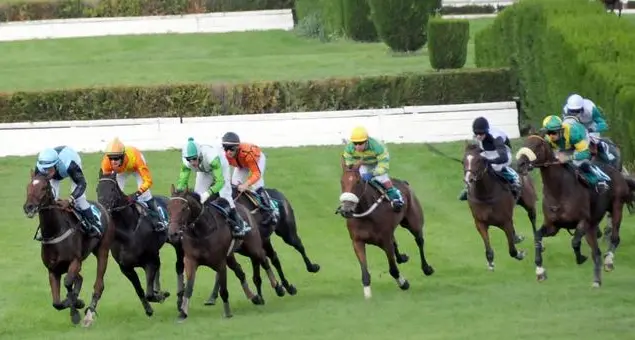 Maia, il gruppo Martone scende in pista