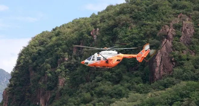 Travolto da un albero, grave boscaiolo di 39 anni della val Passiria