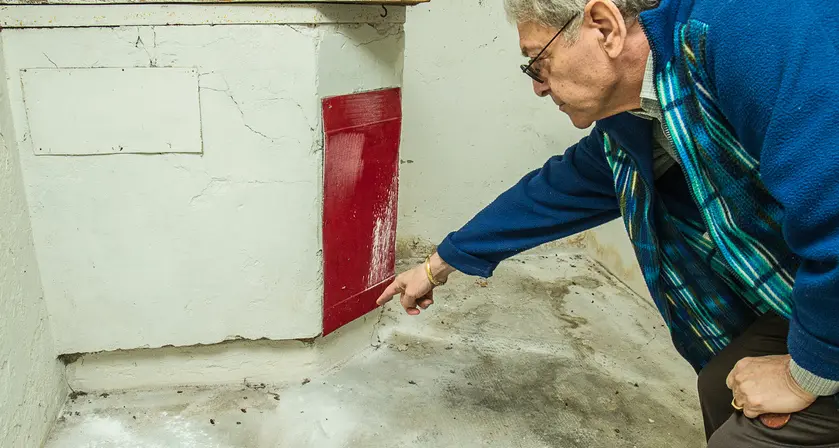 Bolzano: palazzina Ipes infestata da scarafaggi