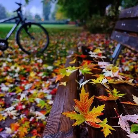 Valanga di foto d’autunno: 40 saranno esposte in Fiera