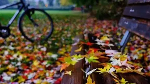 Valanga di foto d’autunno: 40 saranno esposte in Fiera