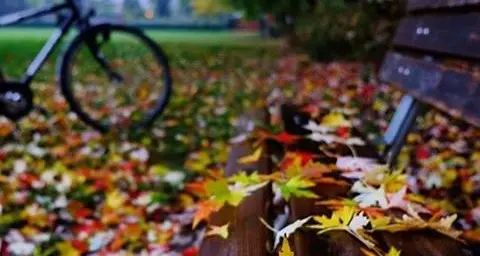 Valanga di foto d’autunno: 40 saranno esposte in Fiera