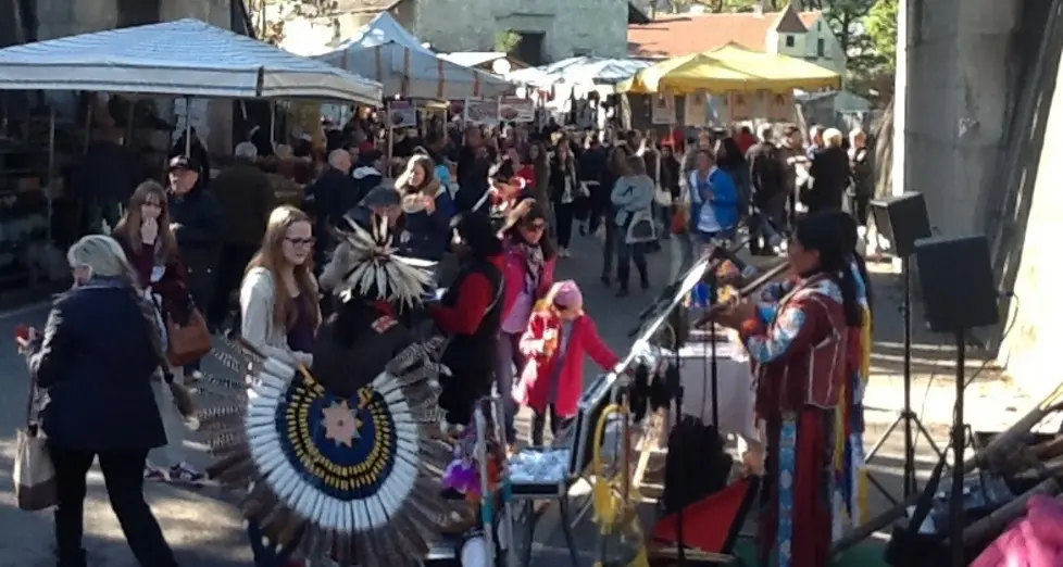 Record di visitatori allo storico Mercato di Stegona