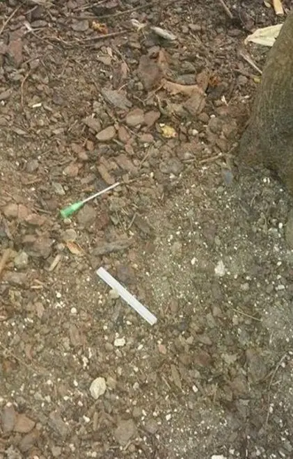 Viale Druso, siringhe nell’asilo