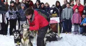 Da impiegata a Vipiteno a maestra musher per amore degli husky