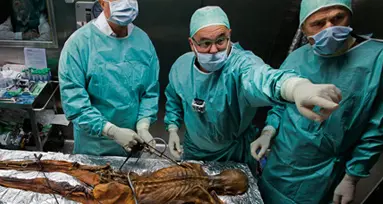 La nuova ricerca su Ötzi: «I suoi geni sopravvivono»