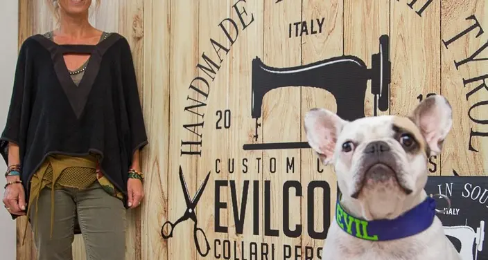Cucce ecosostenibili C’è lo shop per cani attento all’ambiente