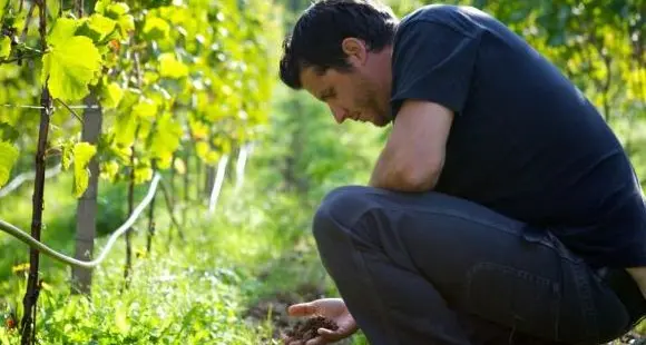 Salorno: vignaiolo “sabotato”, colletta in tutta Italia