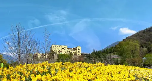 I giardini Trauttmansdorf aperti al venerdì fino alle 23
