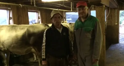 Mussner in stalla con le mucche «È stata una lezione di vita»