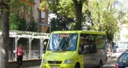 Citybus notturni per l'Altstadtfest