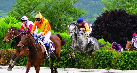 L’ippodromo riparte Martone: «Vogliamo crescere ancora»