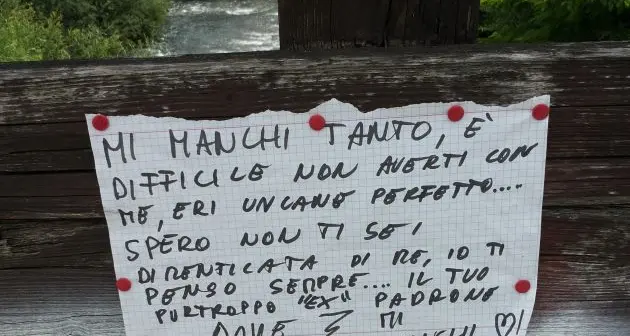 «Mi manchi tanto, eri un cane perfetto»