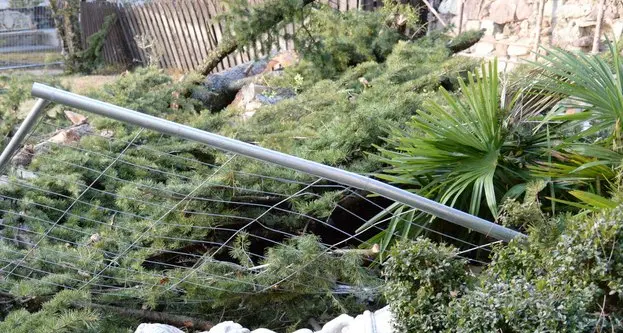 Albero crolla e danneggia la cappella di Castel Labers