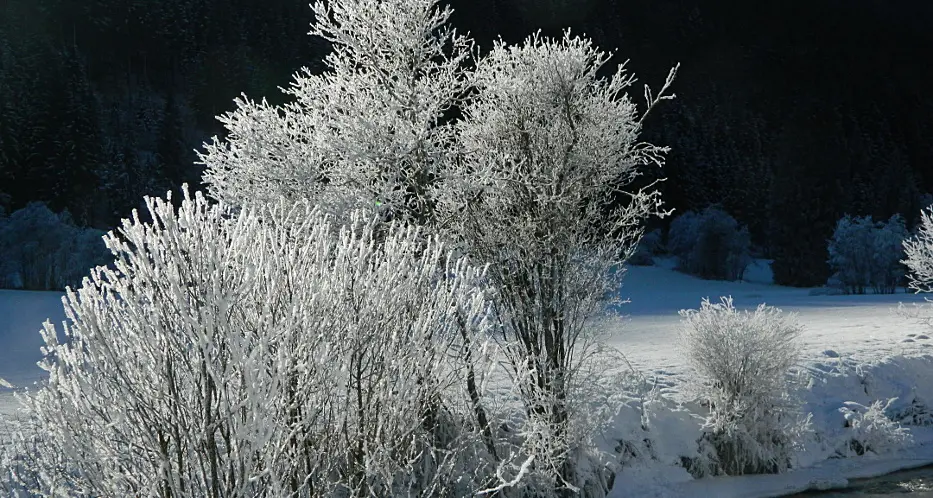 Bolzano, in Alto Adige - 20 gradi a Predoi e Monguelfo: è la notte più fredda degli ultimi 4 anni