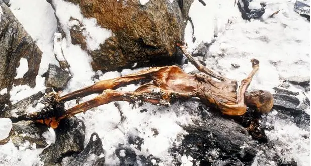 Ötzi, l'ultimo pasto fu a base di speck di stambecco