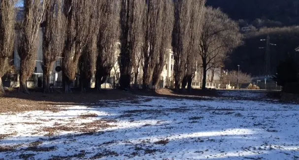 Individuata a Millan la nuova area per i cani