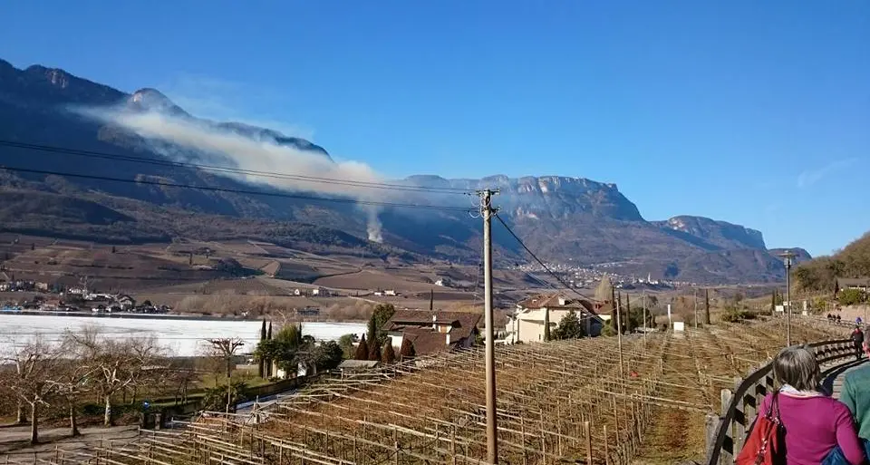 Caldaro, bosco in fiamme nella zona di Sant'Antonio