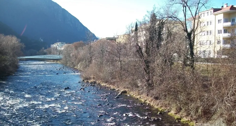 Talvera, ora si disboscano le rive