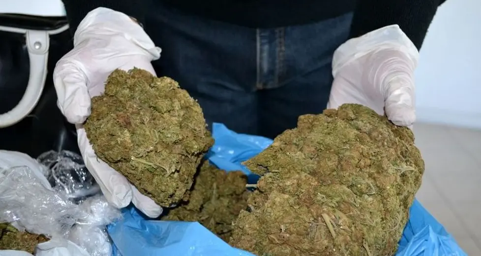 Marijuana, sequestrate quasi due tonnellate partite da Bolzano