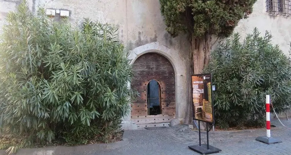 «Salvate alberi e pietre al castello Principesco»