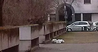 Rifiuti abbandonati, multe in via Cagliari